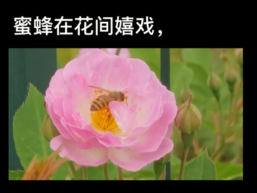 上.jpg